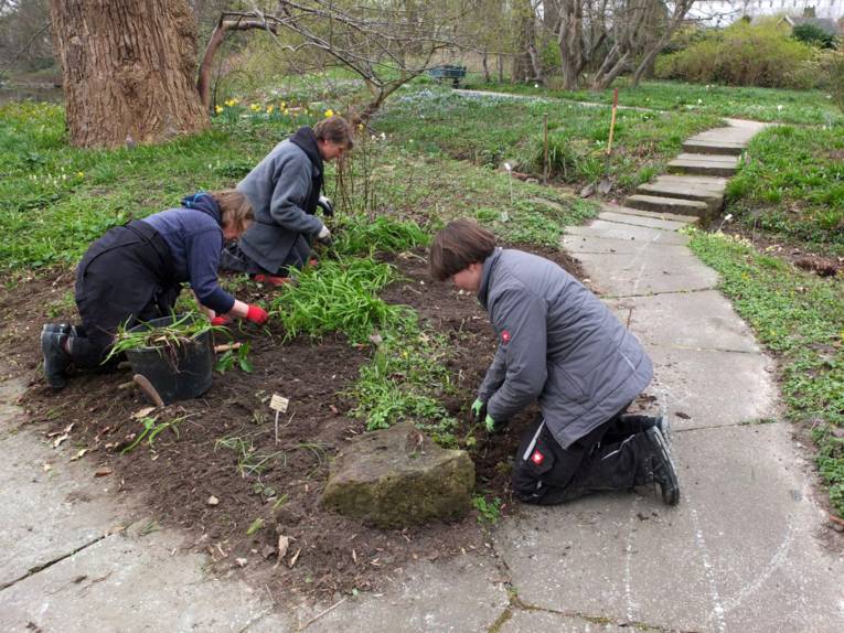 Drei Gärtnerinnen im Staudengrund