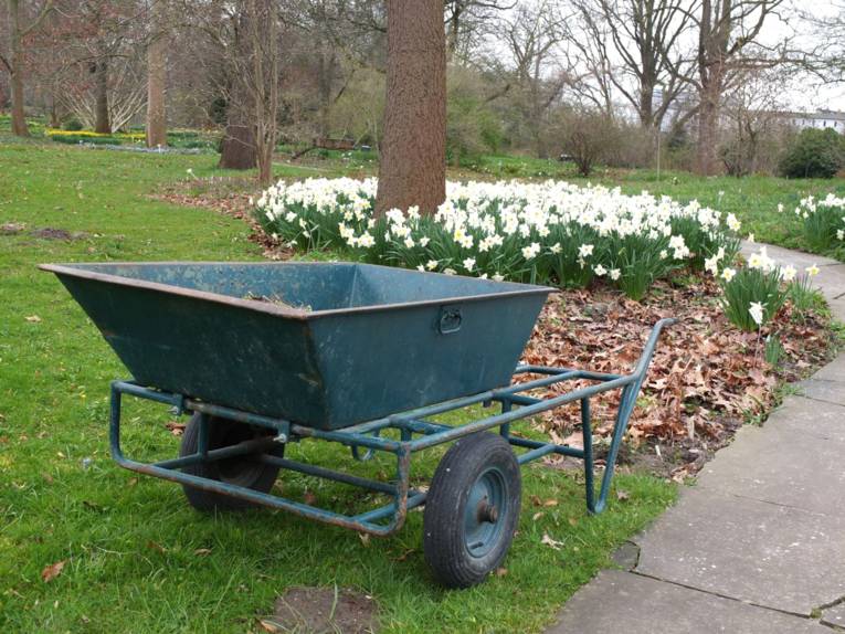 Schubkarre im Berggarten