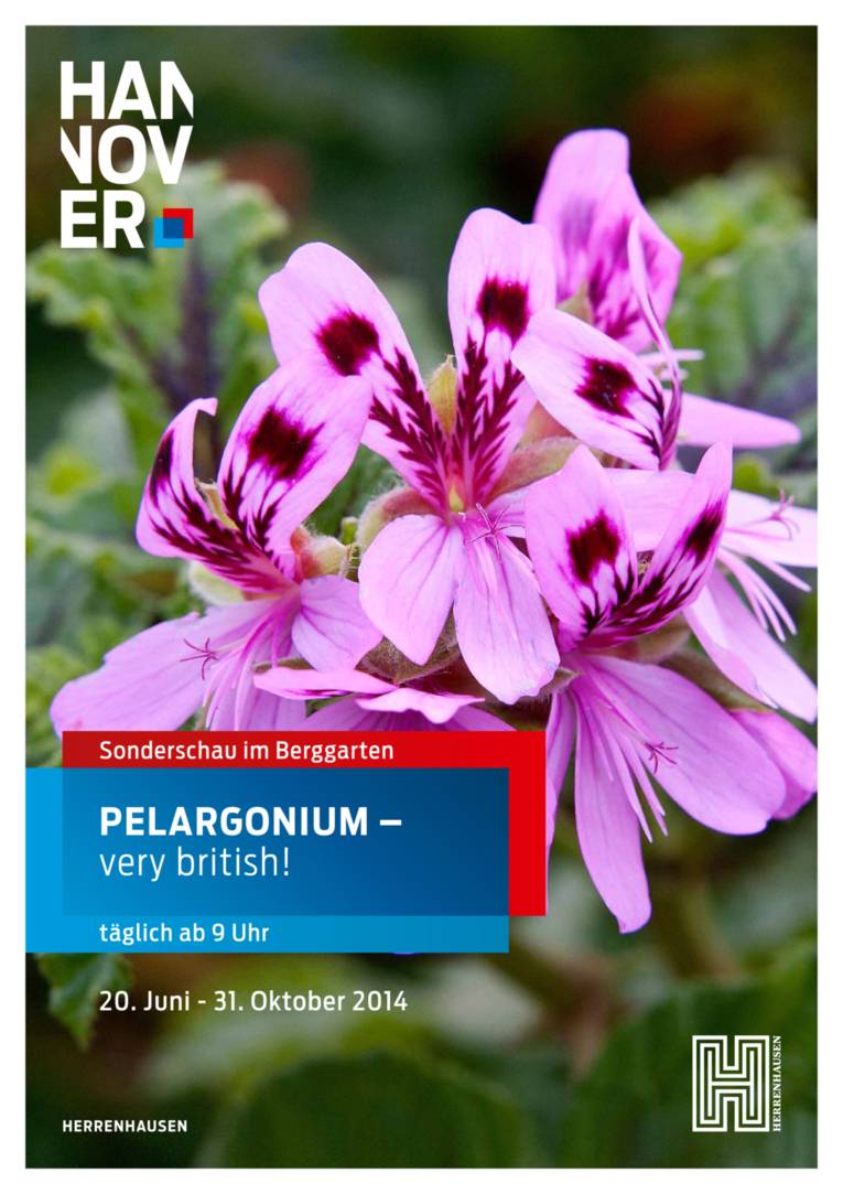 Pelargonien-Plakat