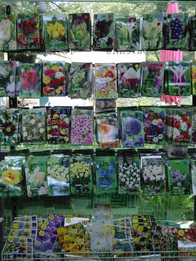 Blumenzwiebelsortiment