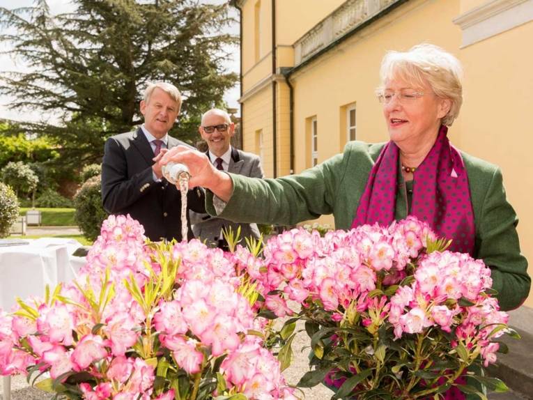 Rhododendrontaufe mit Eske Nannen