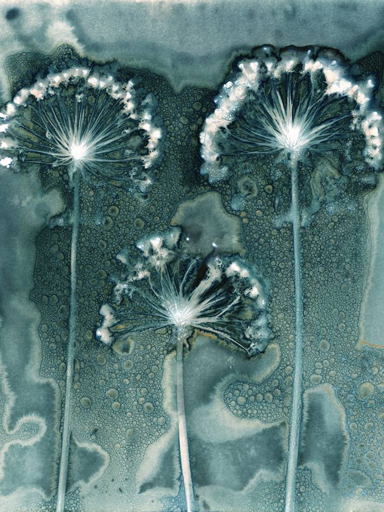 1. Platz "Abstract Views"