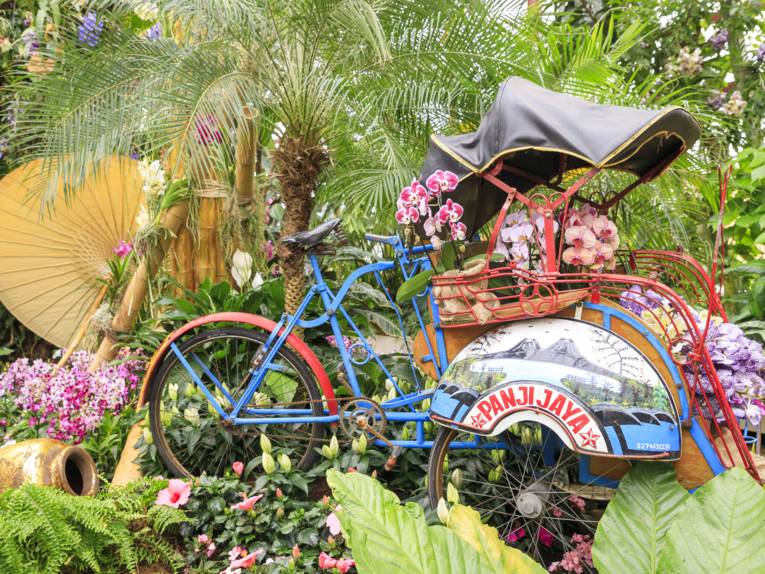 Farbenrausch der Tropen