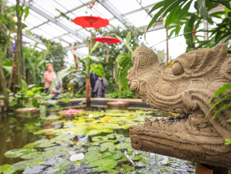 Farbenrausch der Tropen