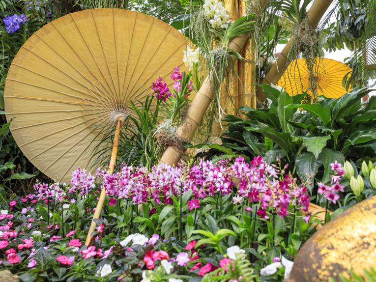 Farbenrausch der Tropen