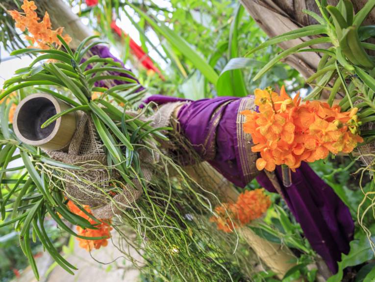 Farbenrausch der Tropen