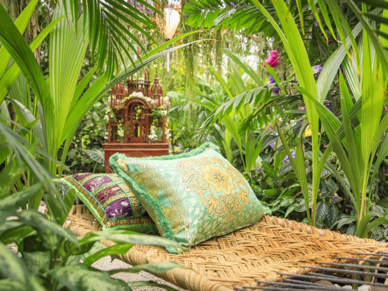 Farbenrausch der Tropen