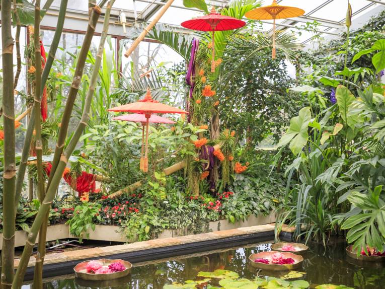 Farbenrausch der Tropen