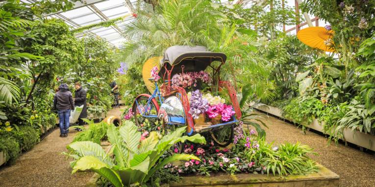 Farbenrausch der Tropen