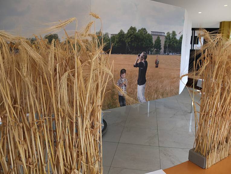 Hannover bleibt auf dem Boden