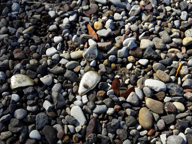 Ulla Nentwig & Barbara Steinmeyer: Weg zum Paradies