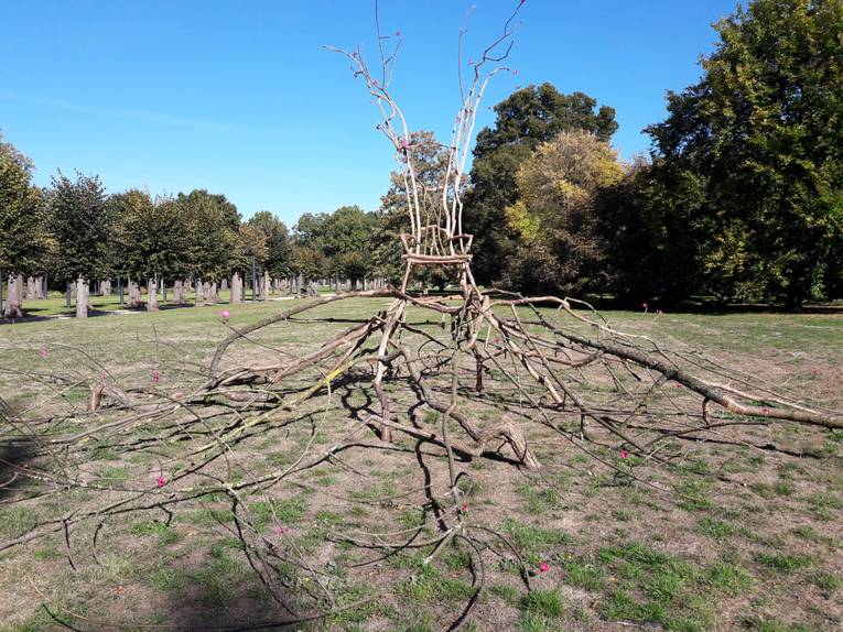 Harro Schmidt: Thronerbe II