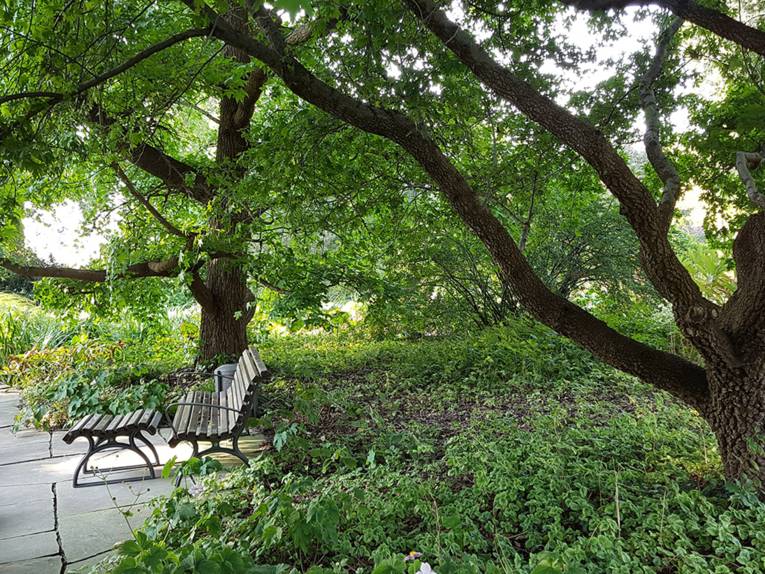 Bank im Staudengrund