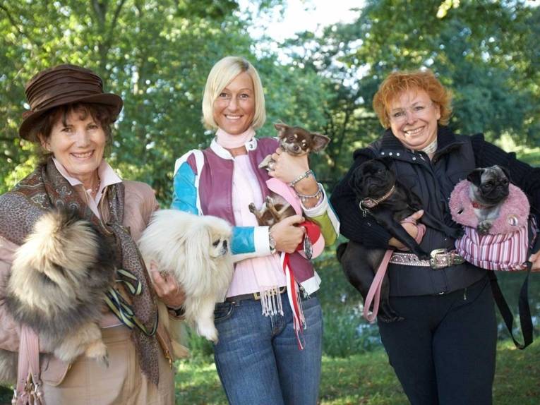 Frauchen und Hund beim Herbstfestival