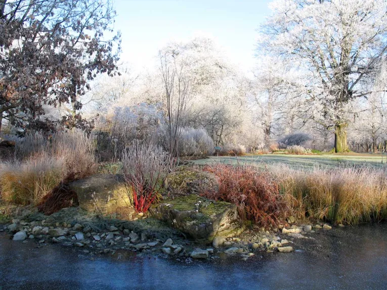 Winter im Berggarten