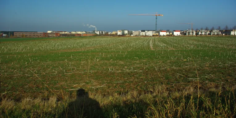 Kronsberg Pano