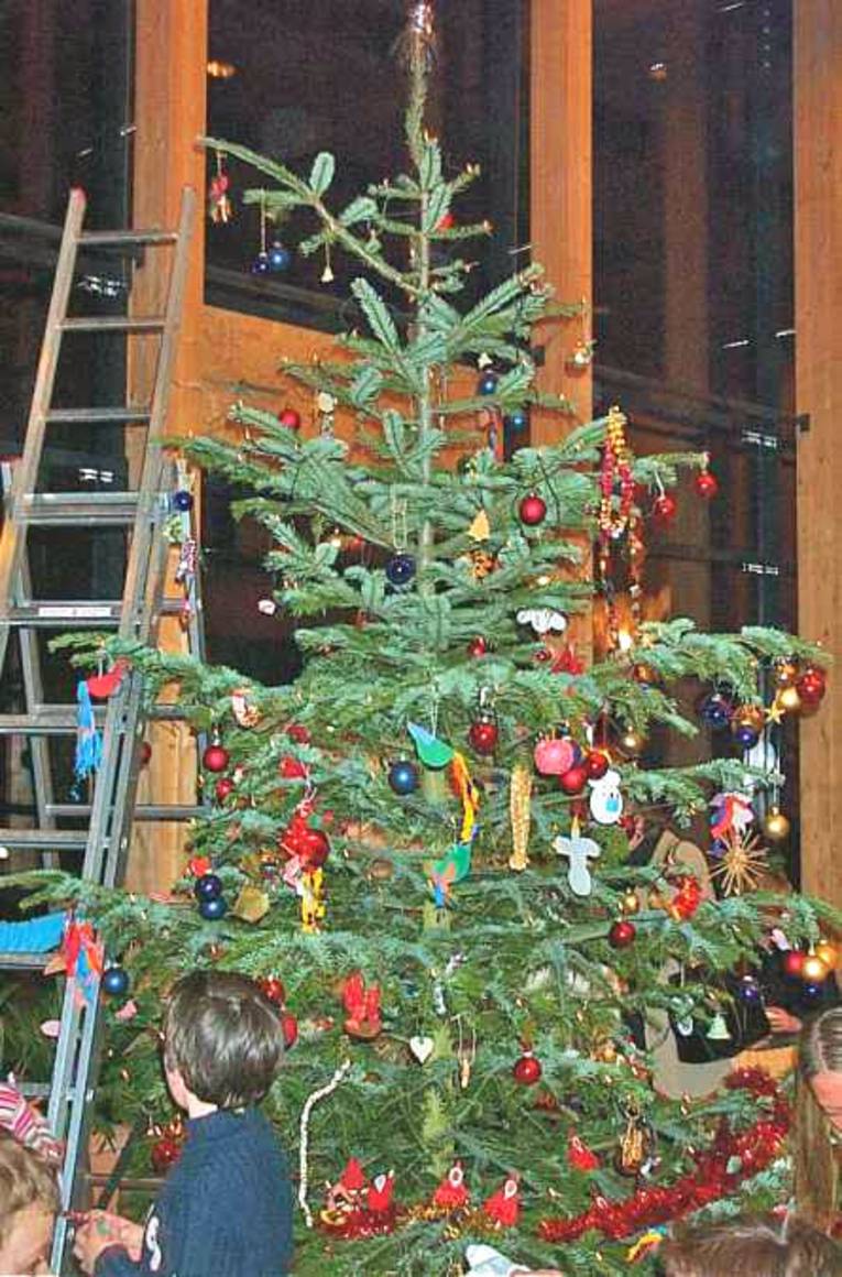 Mit der großen Leiter kommen mutige Kinder auch an die oberen Zweige.
