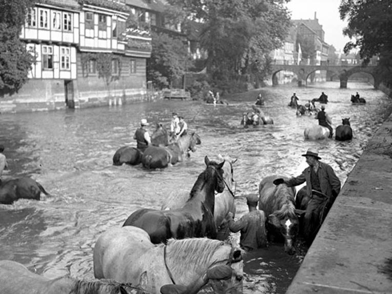 Pferdeschwemme, im Hintergrund Rückfronten der Häuser Neue Straße und Marstallbrücke, Foto von Wilhelm Ackermann
