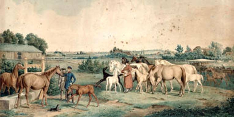 Königlich hannoversches Gestüt, Aquarell von Friedrich Hornemann
