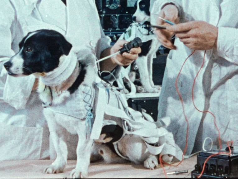 Im Bild zu sehen ist ein Hund zwischen Wissenschaftlern mit einem verkabelten Laboranzug.