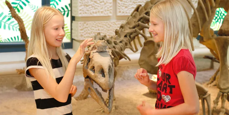 In den LandWelten kann man das Skelett eines Plateosaurus sowie mehrere quicklebendige Bartagamen bewundern.
