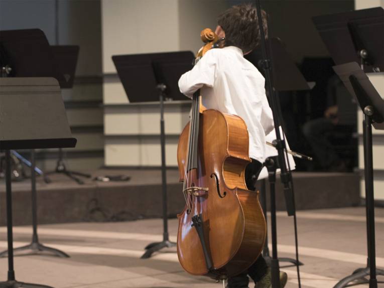 Die klassischen Orchesterinstrumente wie Geige, Bratsche, Cello oder Kontrabass zählen zu den Saiteninstrumenten.