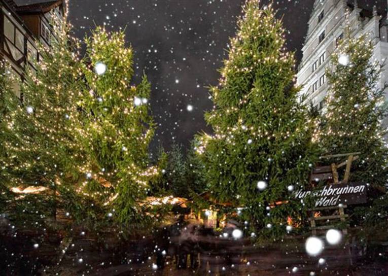 Der Wunschbrunnenwald auf dem Holzmarkt in der Altstadt Hannovers