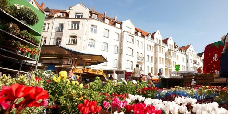 Blumenstand mit den am Moltkeplatz typischen Bürgerhäusern