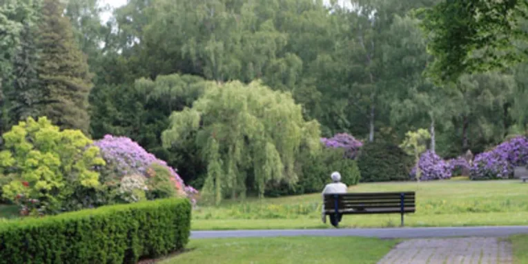 Eine Besucherin sitzt auf einer Bank auf dem Stöckener Friedhof