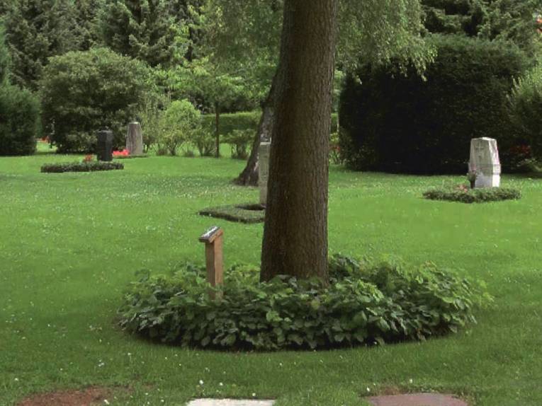 Um den Stamm eines Baumes sind Grabplatten angeordnet