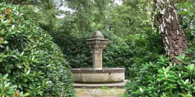 Brunnen, der von Rhododendren umrahmt ist