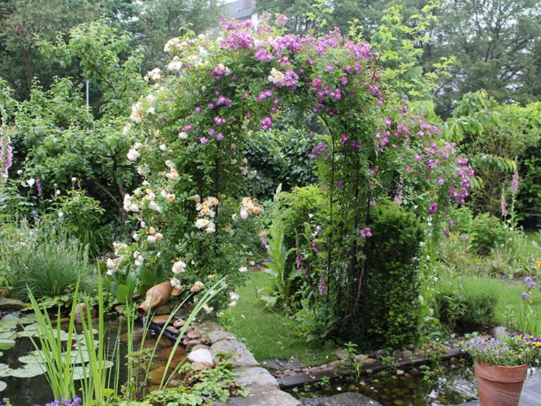 Ein Durchgang, der mit blühenden Rosen umrankt ist, in einem Garten mit zwei kleinen Teichbecken