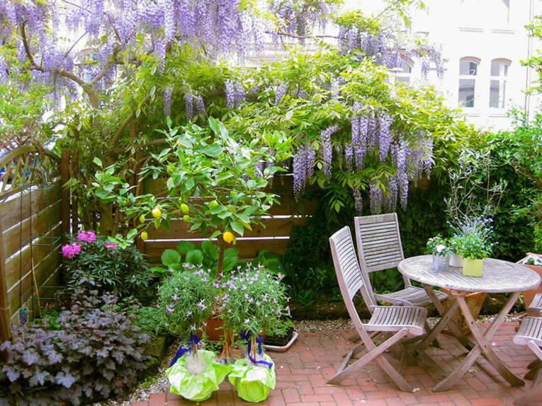 Eine Terrasse mit vielen Pflanzen und Sträuchern.  