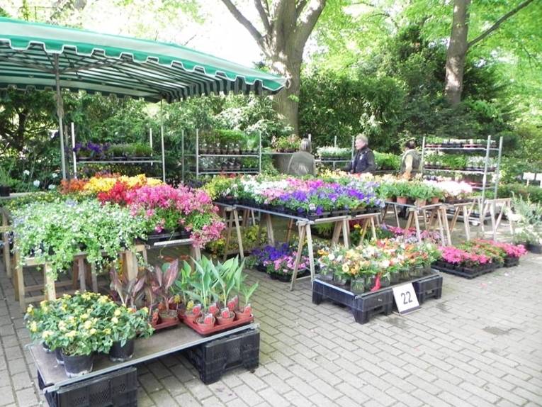Verkaufsstand mit Pflanzen bei den Hannoverschen Pflanzentagen