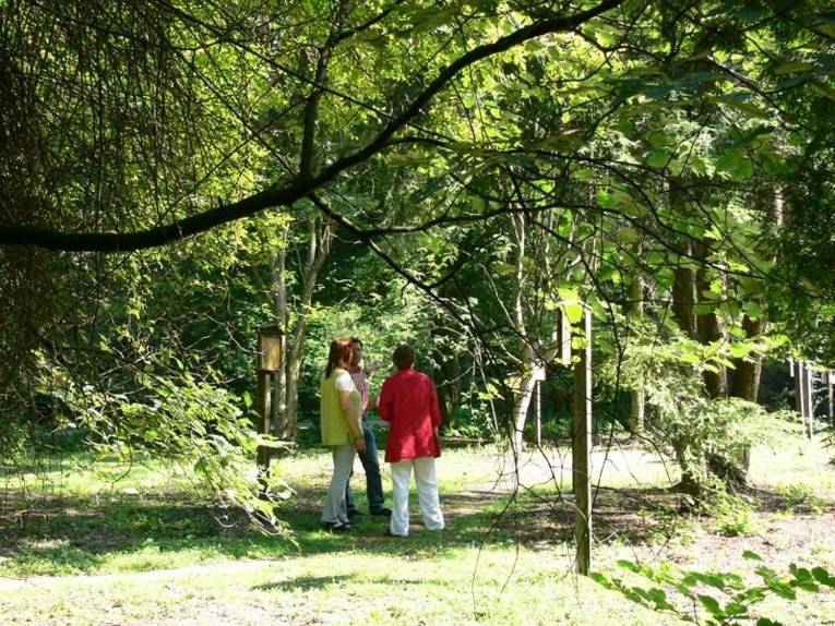 Der Waldlehrpfad im Mecklenheider Forst