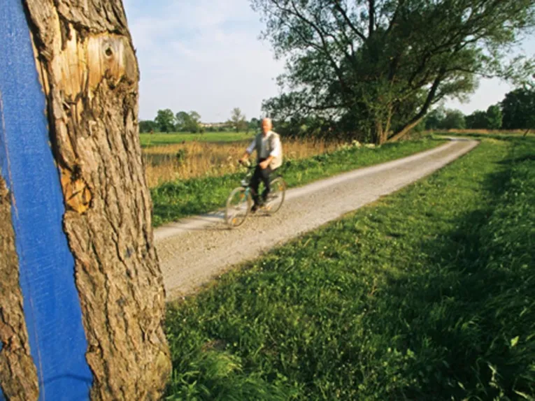 Fahrradfahrer auf einem Feldweg