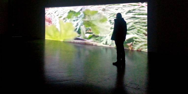 Corinna Schnitt, Epirrhema, 2015