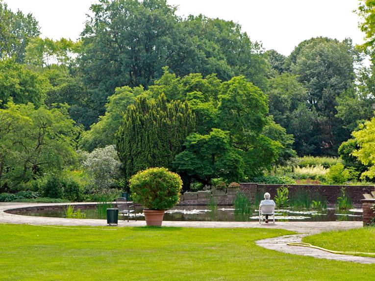 Ein Park. Bäume und Rasen stehen in voller Blüte