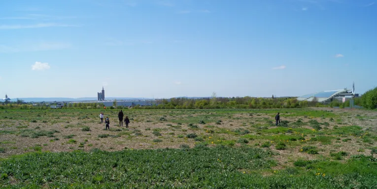 Blick auf den Park Kattenbrook