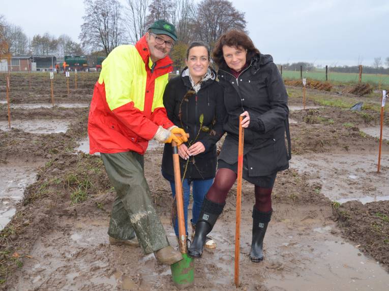 Ein Mann und zwei Frauen mit Spaten auf einem Feld. 