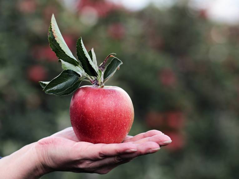 Ein Apfel auf einer Hand