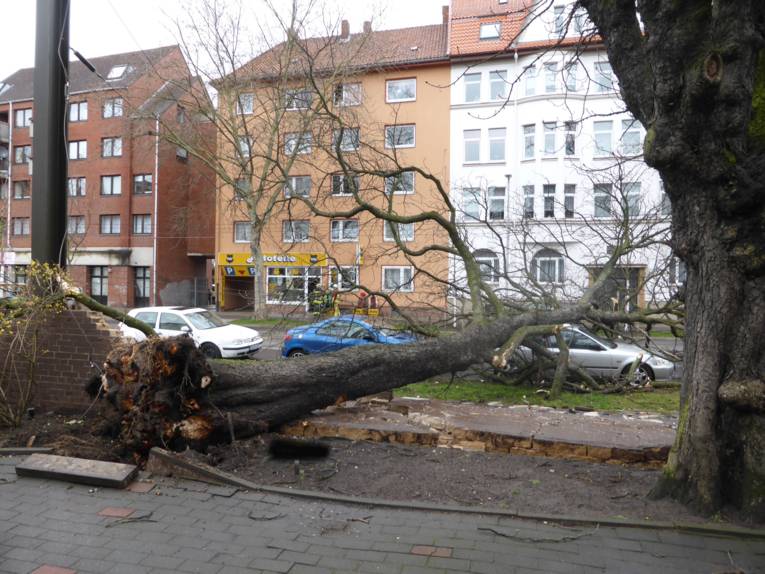 Ein durch den starken Winddruck umgestürzter Baum ist in der Schulenburger Landstraße auf die Oberleitung gefallen und hat eine Begrenzungsmauer sowie einen PKW beschädigt.
