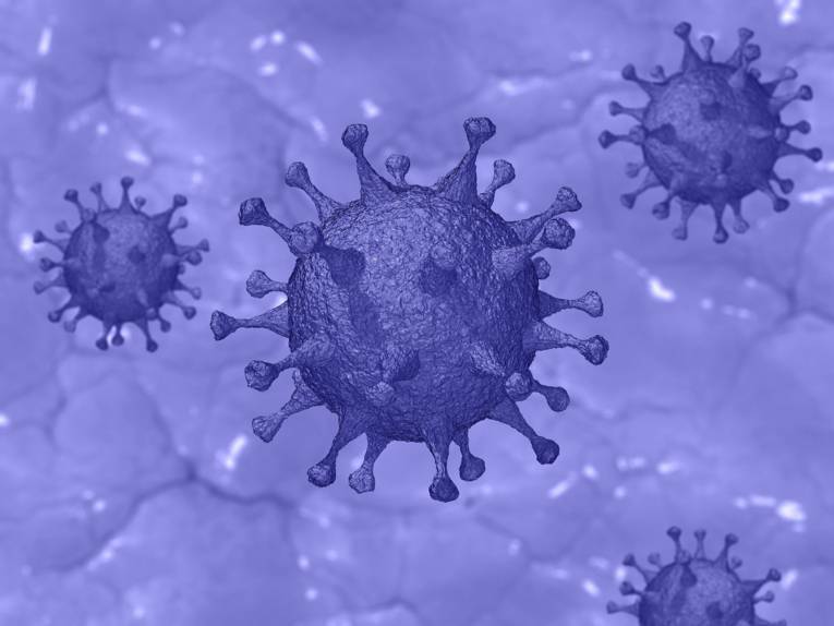 Symbolbild: Grafische Darstellung des Virus