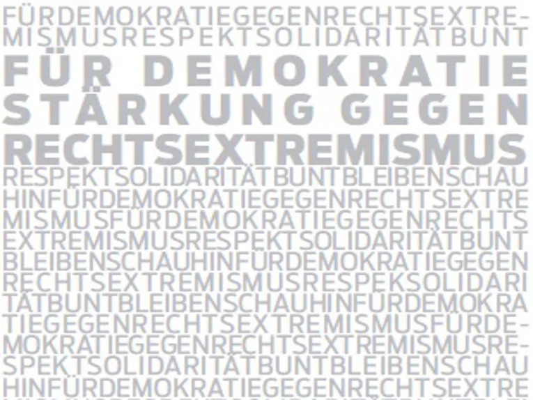 Auf dem Bild sieht man das Logo der SDR. Es sind graue Textbausteine, die sich aus dem Namen der Stelle zusammensetzen.