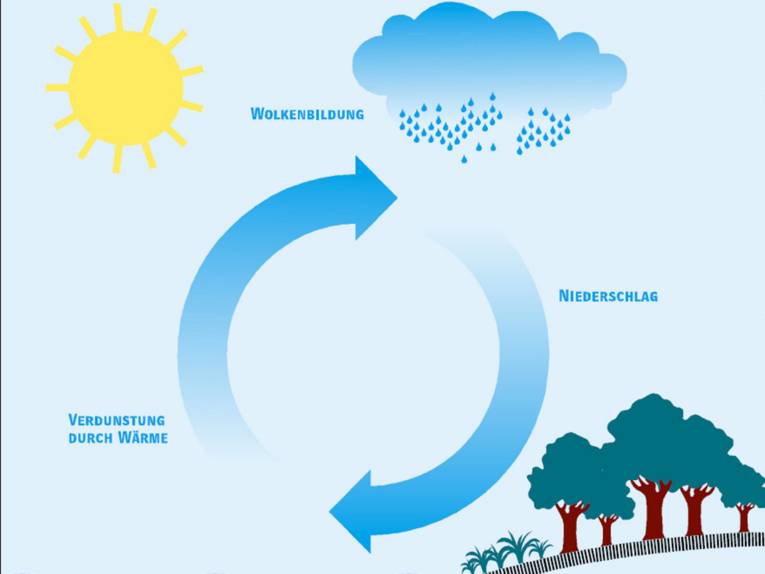 Regenwasserkreislauf