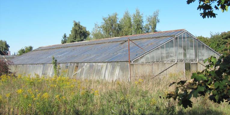Gelände der ehemaligen Gärtnerei an der Peiner Straße