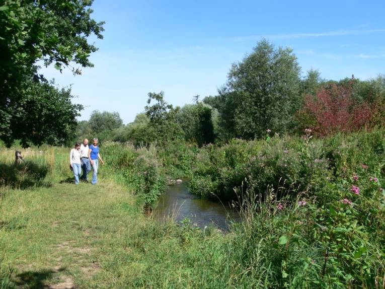 Döhrener Leinemasch