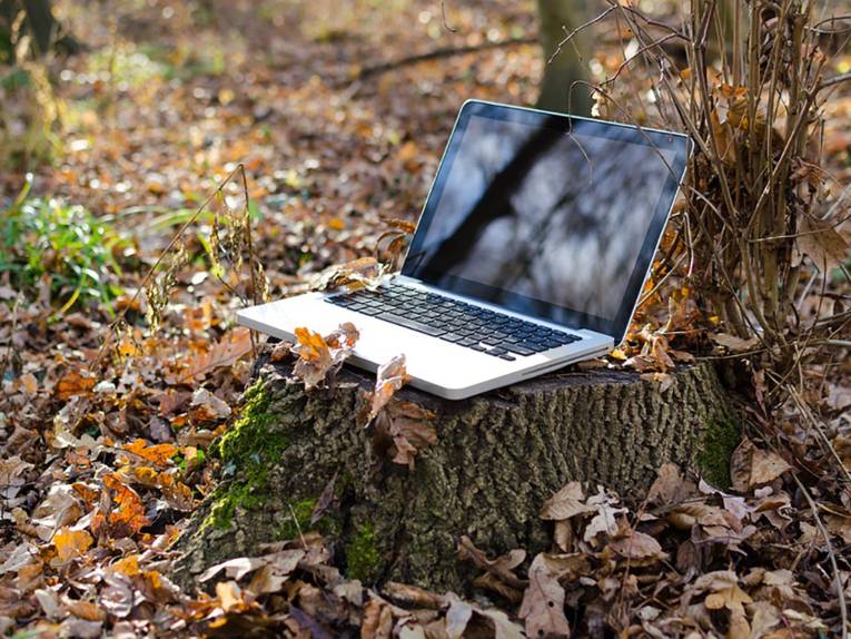 Auf einem Baumstamm steht ein geöffneter Laptop.