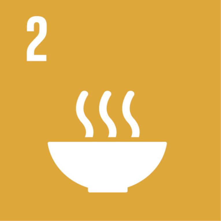Symbol für globales Nachhaltigkeitsziel Nr. 2 "Ernährung sichern"