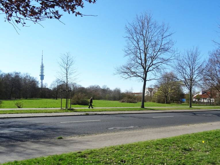 Eine Grünanlage, durch die eine Straße führt